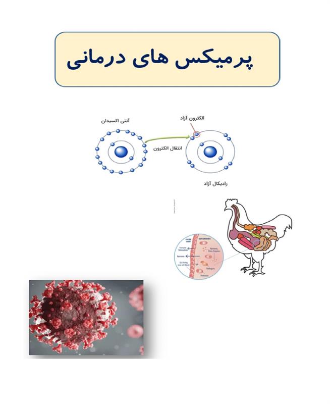 پرمیکس های درمانی